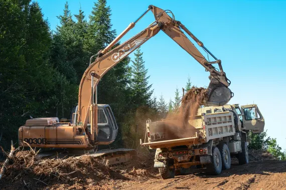 Kasyno Bonkers Bet Wsparcie